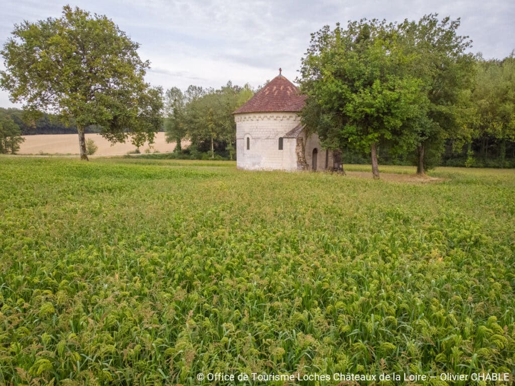Des voyageurs en quête d’un lieu où poser leurs valises : un gîte près des châteaux de la Loire, pratique, chaleureux, authentique.